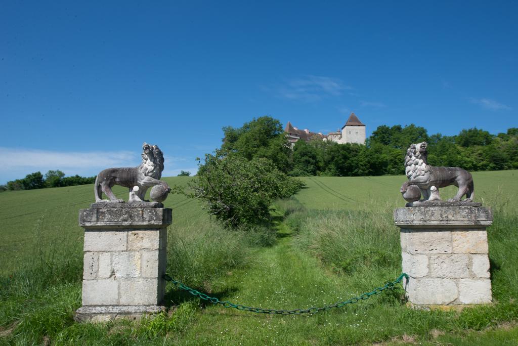 Chateau De Goudourville Villa Ngoại thất bức ảnh